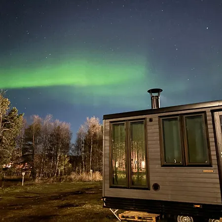 Northern Lights *
