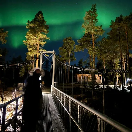 Northern Lights *